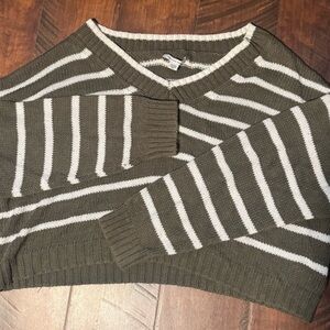 American Eagle Outfitters Olive and White V-Neck Sweater